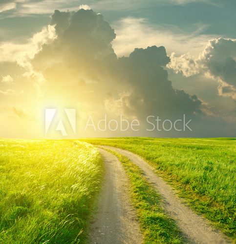 Summer landscape with green grass, road and clouds  Trawy Fototapeta