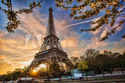 Eiffel Tower against sunrise  in Paris, France  Fototapety Wieża Eiffla Fototapeta