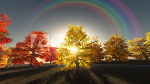 Rainbow over autumn trees  Las Fototapeta