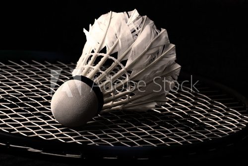 Shuttlecock on badminton racket  Czarno Białe Obraz