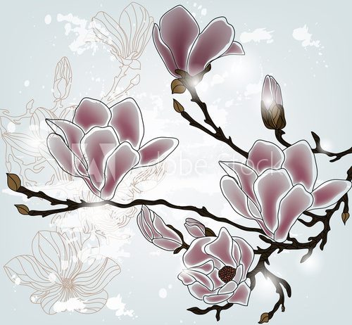Magnolia - miłość i piękno Kwiaty Fototapeta