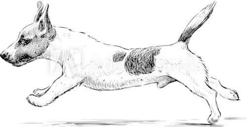 running dog  Drawn Sketch Fototapeta