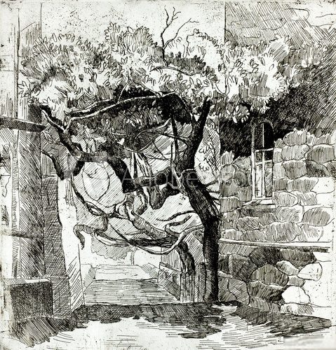 Tree near ruins  Drawn Sketch Fototapeta