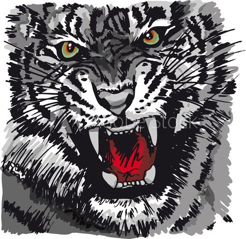 Sketch of tiger. Vector illustration  Drawn Sketch Fototapeta