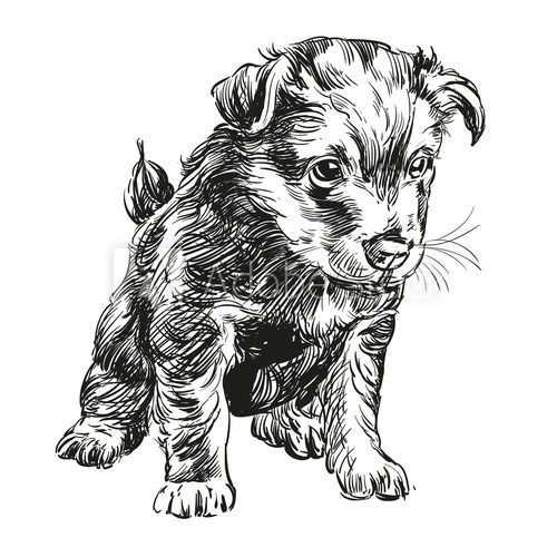 puppy dog hand drawn vector llustration  Drawn Sketch Fototapeta