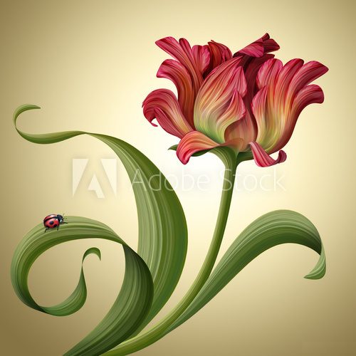 illustration of a beautiful red tulip flower with ladybug  Kwiaty Obraz