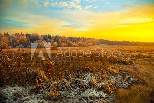 Field, forest, dry grass - beautiful landscape at sunset  Krajobrazy Obraz