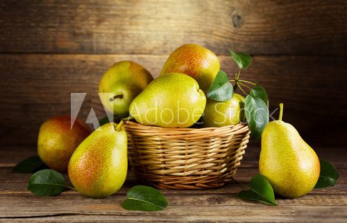 still life with fresh pears  Owoce Obraz