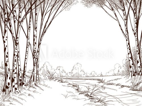 Birch tree forest, graphic background  Styl skandynawski Fototapeta