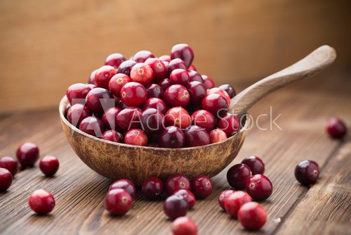 Cranberries.  Obrazy do Kuchni  Obraz
