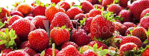 Strawberry panorama.  Owoce Obraz