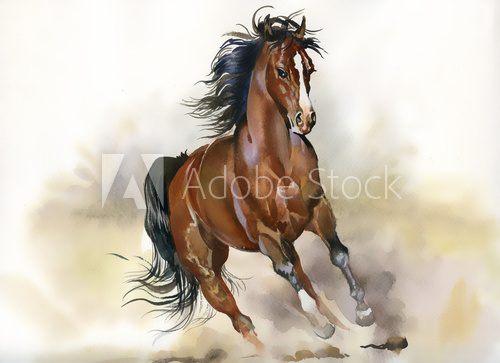 Running horse  Zwierzęta Plakat