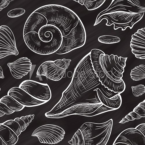 Vector seashells seamless pattern. Chalkboard style. Styl Marynistyczny Fototapeta