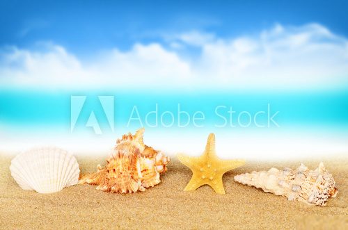 Summer beach. Starfish and seashell on the sand. Styl Marynistyczny Fototapeta