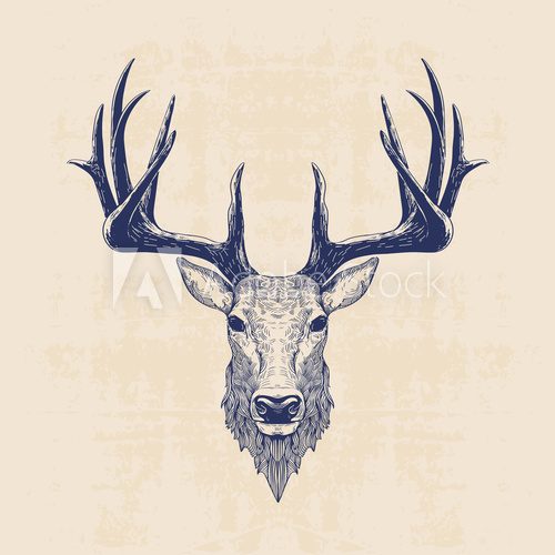 deer head Zwierzęta Plakat