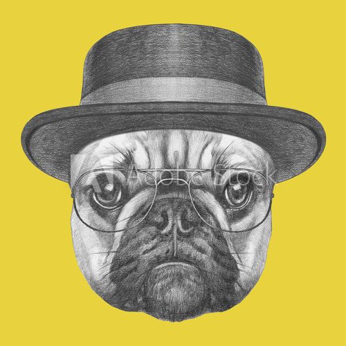 Portrait of French Bulldog with hat and glasses. Hand drawn illustration. Zwierzęta Plakat