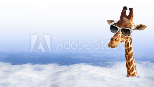 Funny giraffe with sunglasses coming out of the clouds Zwierzęta Plakat