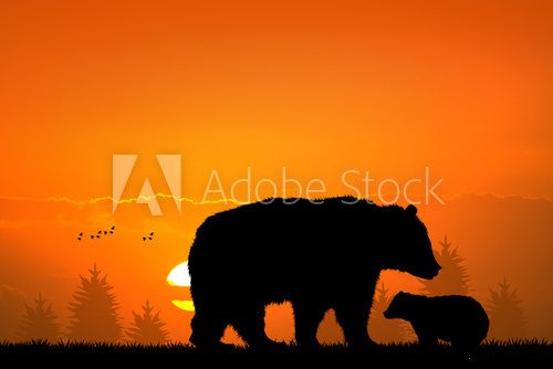 brown bear and baby bear in the forest Zwierzęta Plakat