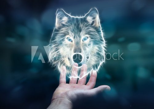 Person holding fractal endangered wolf illustration 3D rendering Zwierzęta Plakat