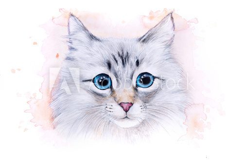 Watercolor illustration of a white cat Zwierzęta Plakat