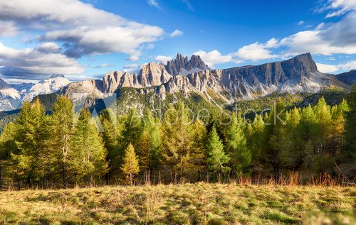 Beautiful forest mountain landscape in Alps Fototapety Góry Fototapeta