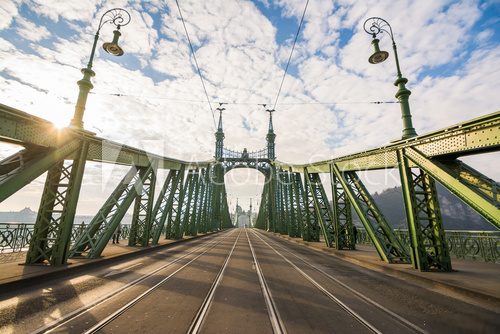 beautiful liberty bridge at budapest, hungary Industrialne Fototapeta