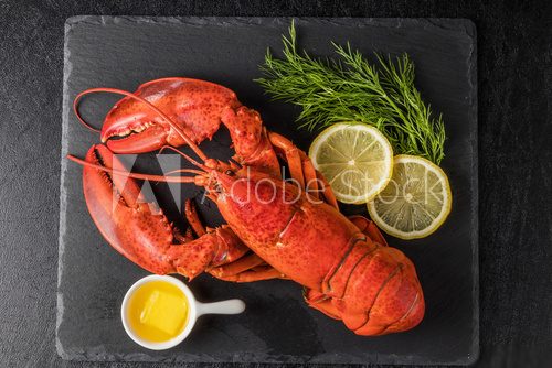 é«ç´ã­ãã¹ã¿ã¼ã High-quality lobster Obrazy do Jadalni Obraz