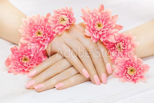 pink manicure with chrysanthemum flowers. spa Obrazy do Salonu Kosmetycznego Obraz