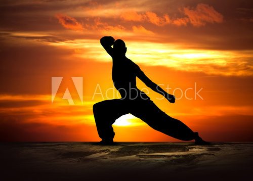 Martial Arts Fitness at Sunset  Sport Plakat