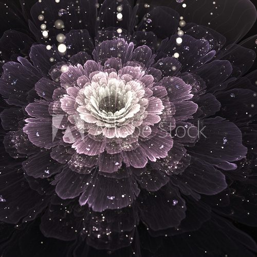 violet fractal flower with droplets of water  Kwiaty Plakat