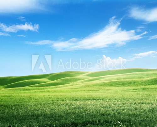field of grass and perfect sky  Pejzaże Plakat