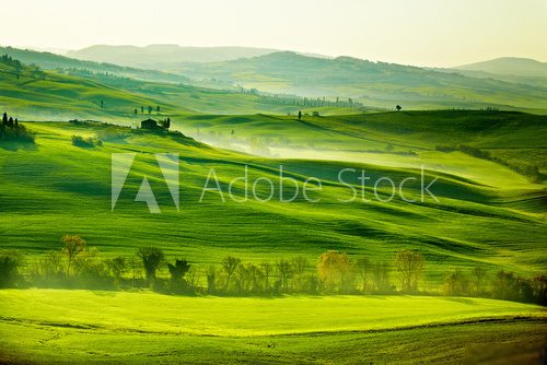 Countryside, San QuiricoÂ´Orcia , Tuscany, Italy  Pejzaże Plakat