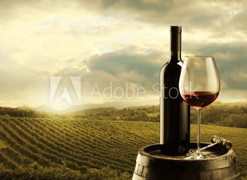 Vineyard at sunset  Pejzaże Plakat