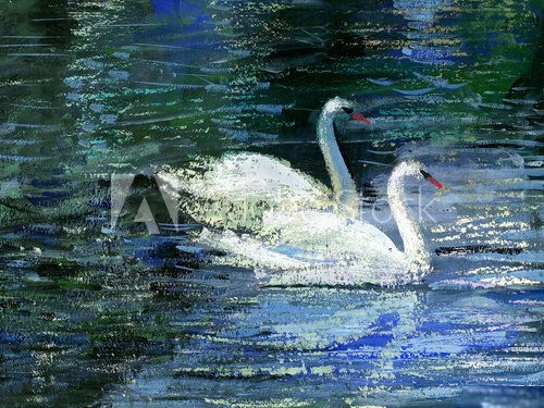 Two swans  Olejne Obraz