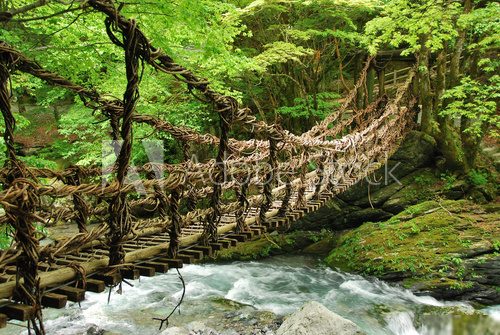 Pont de lianes et bambou Kazura-bashi Ã  Oku Iya, Shikoku  Fototapety Mosty Fototapeta