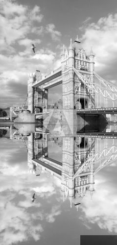 Famous Tower Bridge in London, England  Fototapety Czarno-Białe Fototapeta