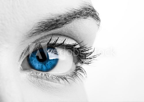 Blue eye  Fototapety Czarno-Białe Fototapeta