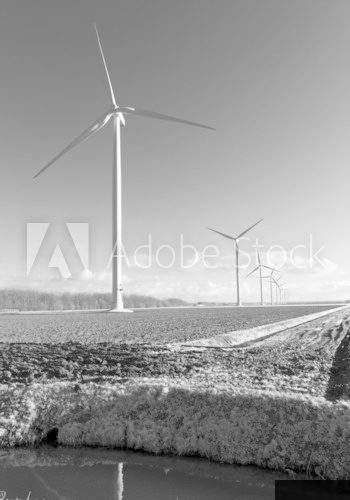 wind turbines farm  Fototapety Czarno-Białe Fototapeta