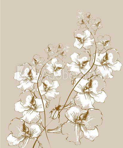 vector  background with a bug and blooming flowers  Rysunki kwiatów Fototapeta