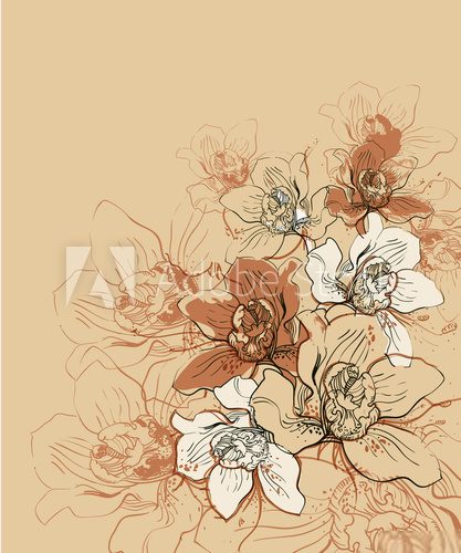 vector background with   hand drawn orchids  Rysunki kwiatów Fototapeta