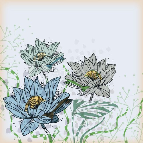 vector background with waterlilies and water plants  Rysunki kwiatów Fototapeta