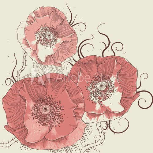 vector floral   background with blooming poppies  Rysunki kwiatów Fototapeta