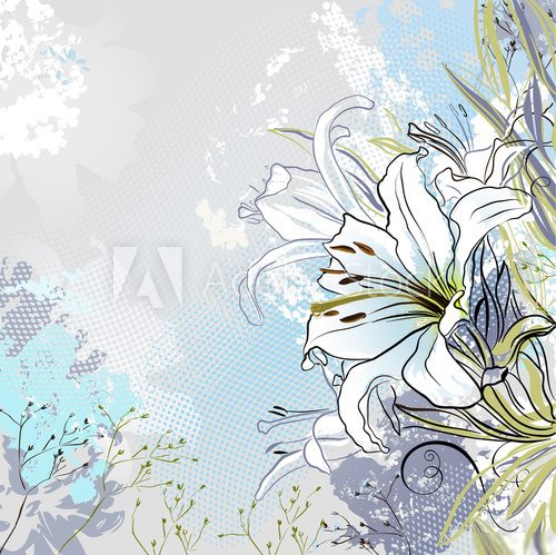 grunge greeting-card with decorative white lilies  Rysunki kwiatów Fototapeta