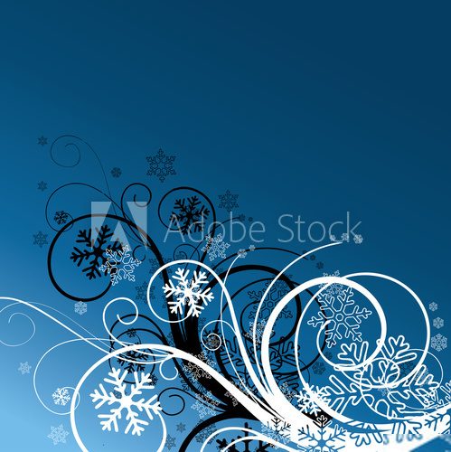 winter floral background with snowflakes  Abstrakcja Fototapeta