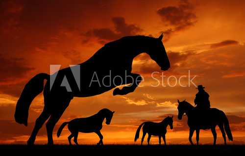 Silhouette cowboy with horses in the sunset  Zwierzęta Fototapeta