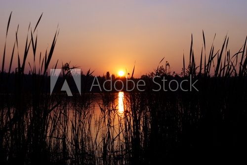 setting sun  Zachód Słońca Fototapeta