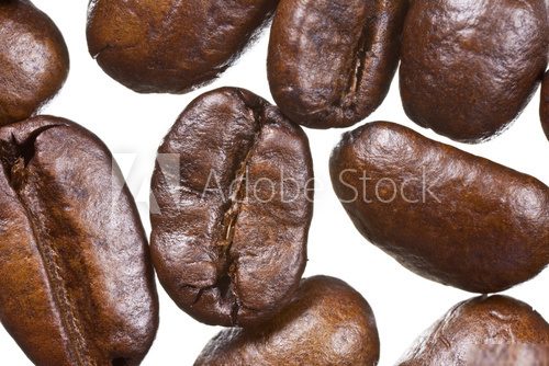Coffee Bean Extreme Macro  Kawa Fototapeta