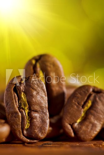 macroshot of coffee beans on the blurry background  Kawa Fototapeta