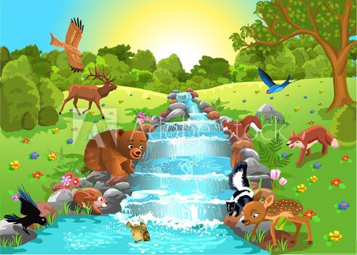 animals drinking water from the brook  Fototapety do Pokoju Dziewczynki Fototapeta