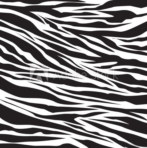 zebra pattern  Tekstury Fototapeta